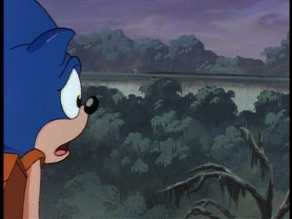 &nbsp;