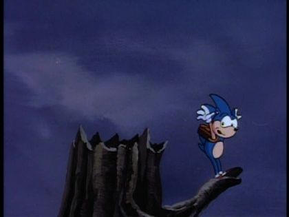 &nbsp;