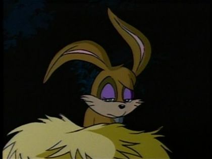 &nbsp;