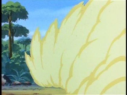 &nbsp;