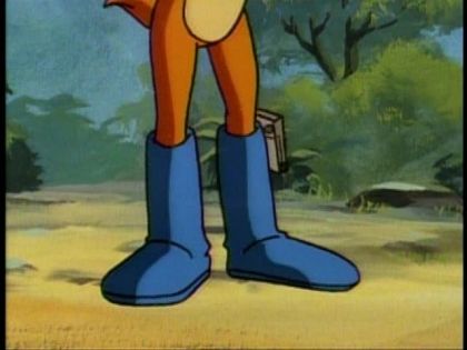 &nbsp;