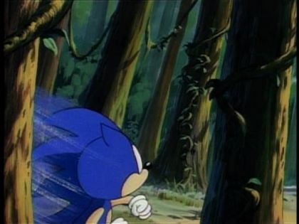 &nbsp;