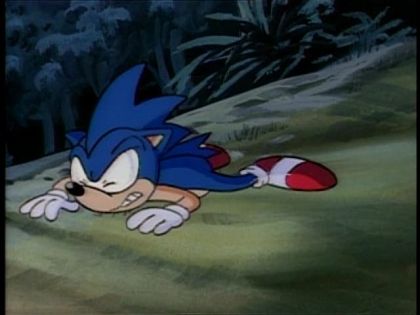 &nbsp;