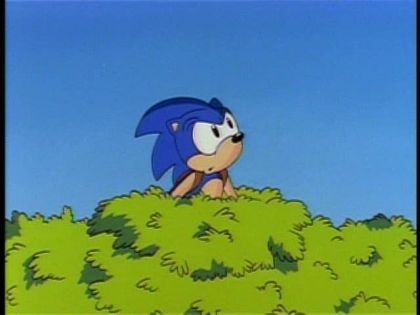 &nbsp;