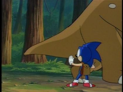 &nbsp;