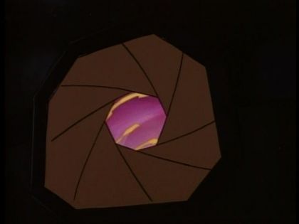 &nbsp;