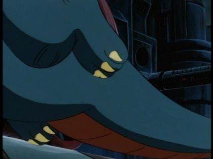 &nbsp;