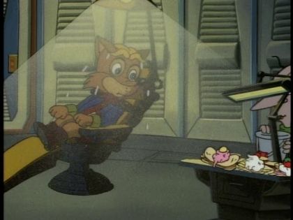 &nbsp;