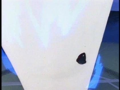 &nbsp;